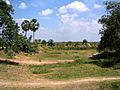 ChoeungEk-Darter-8