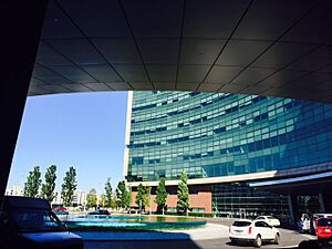 Cleveland Clinic Curve