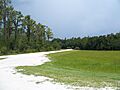 Colt Creek SP road01