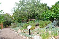 Conejo valley botanic garden 2