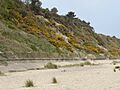 Corton Cliffs 3
