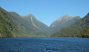 Deep Cove in Doubtful Sound in front of Wilmot Pass