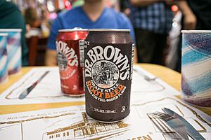 Dr. Brown's Root Beer (9382470662)