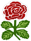 England rugby shirt rose 1871