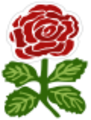 England rugby shirt rose 1871