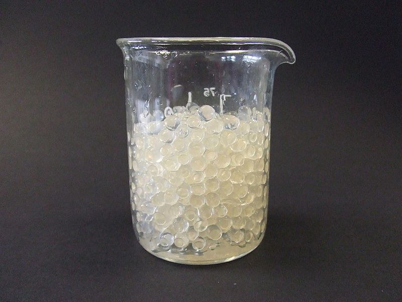Enzymes immobilised in alginate gel