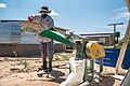 Farmer mills branches of shrubs for the production of animal fodder in Namibia