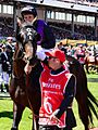 Fiorente, 2013 Melbourne Cup