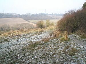 Frost on the ground at Catherington Down - geograph.org.uk - 1098264
