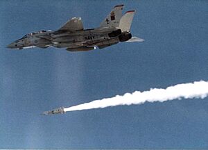 Grumman F-14A Tomcat of VF-11 launches AIM-54 Phoenix missile, in 1982 (NNAM.1996.488.256.018)