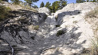 Guernsey (Wyoming) - Oregon Trail Ruts 16-9-2014 11-06-06.JPG