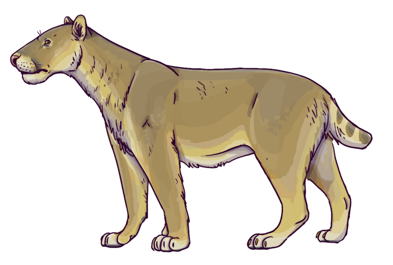 Homotherium life reconstruction