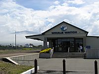 Kaikoura - bývalé nádraží, nyní centrum výletů za velrybami - panoramio