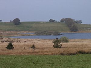 Llyn Eiddwen - geograph.org.uk - 408724