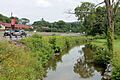 Mauses Creek looking downstream
