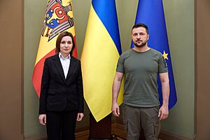 Meeting of the President of Ukraine with the President of the Republic of Moldova in Kyiv (10)