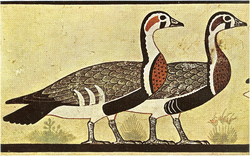 Meidoum - Tomb of Itet - geese 300dpi.png