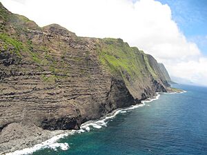 Molokai Sea Cliffs