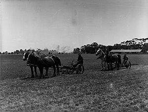 Mowers for Lucerne Cutting at Virginia(GN07756) (cropped)