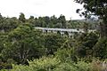 NZ Percy Burn Viadukt