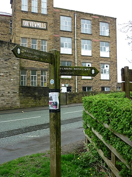 Oak View Mills, Greenfield (geograph 3951950)