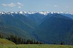 Forests and the Olympic Mountains from Hurricane Ridge.