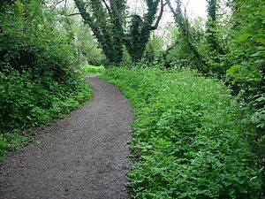 Paradise Nature Reserve - geograph.org.uk - 789906