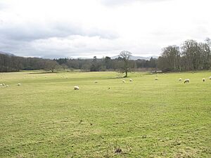 Parc Faenol - geograph.org.uk - 365066