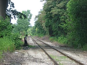 Person walking along the Hocking Valley Railway at Logan