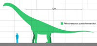 Petrobrasaurus Scale.svg