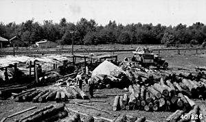 Photograph of the Charles Merrill Tie Mill at Irons, Michigan - NARA - 2128874