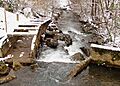 Pistol-creek-mill-ruins-tn1