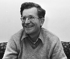 Prof dr Noam Chomsky, Bestanddeelnr 929-4752 (cropped)