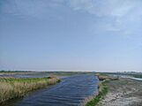 Rietmoerassen bij Polder Dronthen, Kampen II