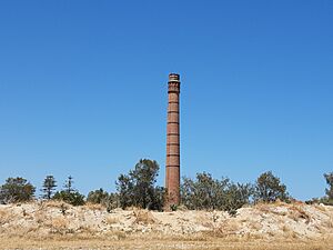 Robb Jetty Chimney, North Coogee, February 2020 02