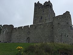 Ross Castle gate