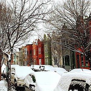 Row houses after snowfall on Wallach Place, U Street Corridor, Washington, D.C
