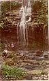 SLNSW 796528 Junction Fall Lawson