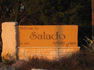 Welcome sign in Salado (2009)