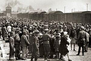 Selection on the ramp at Auschwitz-Birkenau, 1944 (Auschwitz Album) 1a