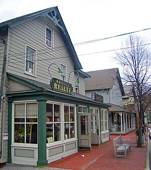 Shops in downtown Roslyn, NY