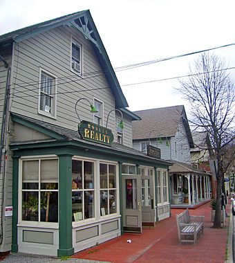 Shops in downtown Roslyn, NY.jpg