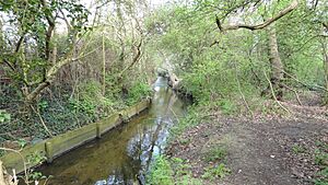 Sir Joseph Hood Memorial Wood 4