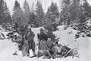 Sportsman with Guides and caribou, New Brunswick. G.T. Taylor, c. 1887