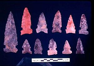 Stanfield-Worley Bluff Shelter - Big Sandy Points