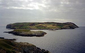 The Calf of Man - geograph.org.uk - 785632
