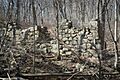 Tillinghast Mill Ruins
