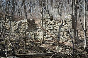 Tillinghast Mill Ruins