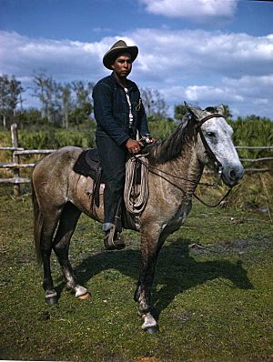 Unidentified Seminole cattleman- Brighton Reservation, Florida (8660675602)