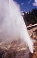 ValentineGeyser-Pittenger1972